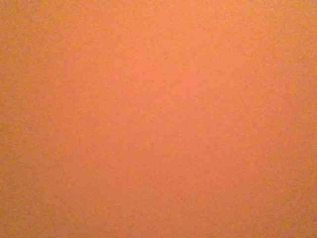 Dewebony webcam