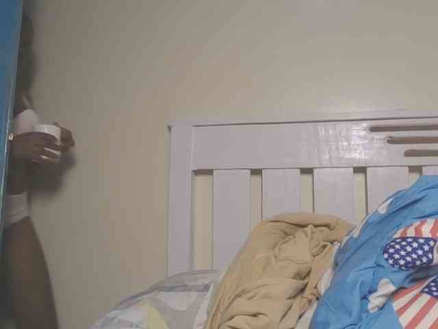 Dewebony webcam