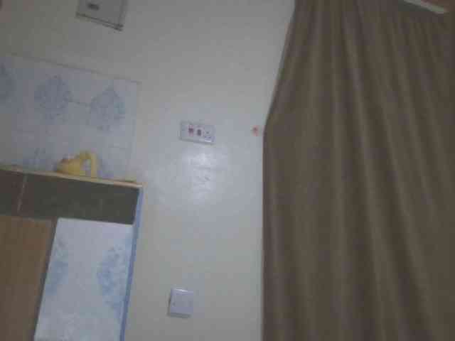 Dewebony webcam