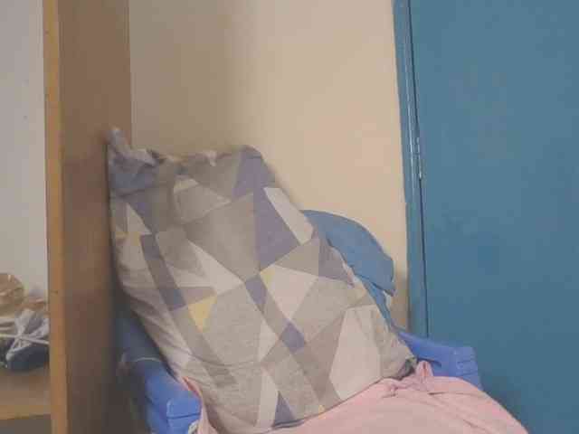 Dewebony webcam