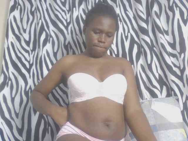 Dewebony webcam