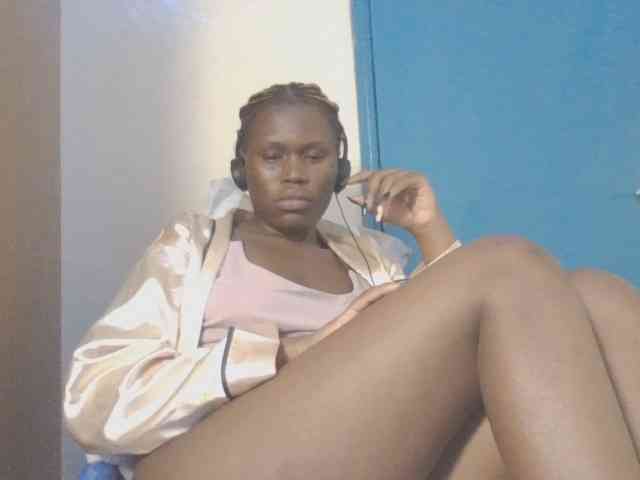 Dewebony webcam