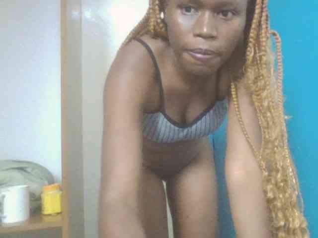 Dewebony webcam