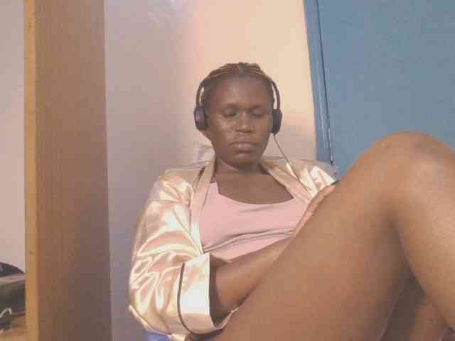 Dewebony webcam