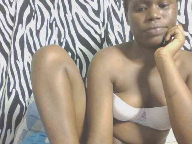 Dewebony webcam