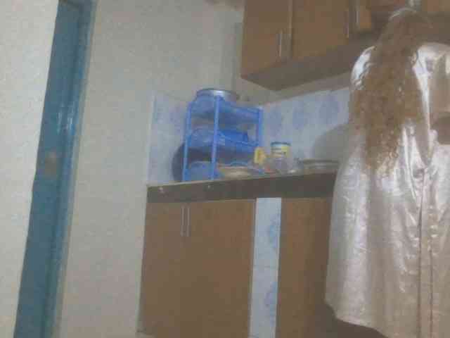 Dewebony webcam