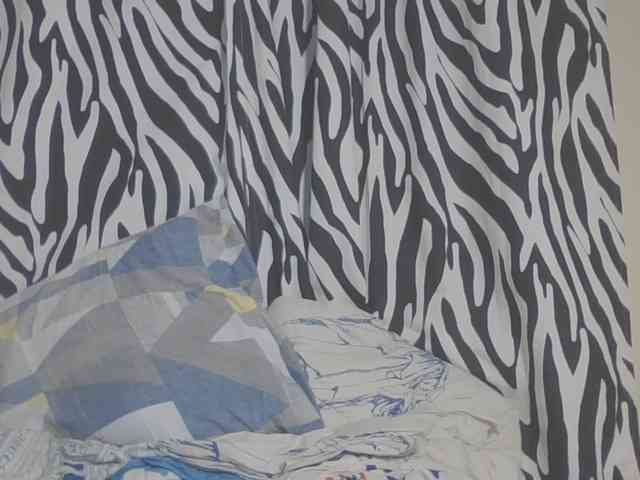 Dewebony webcam