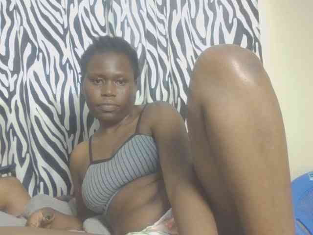 Dewebony webcam