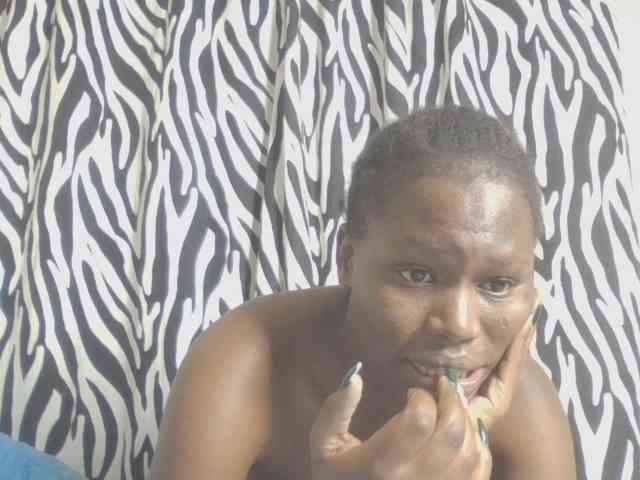 Dewebony webcam