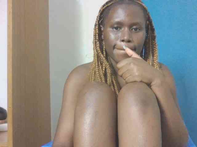Dewebony webcam