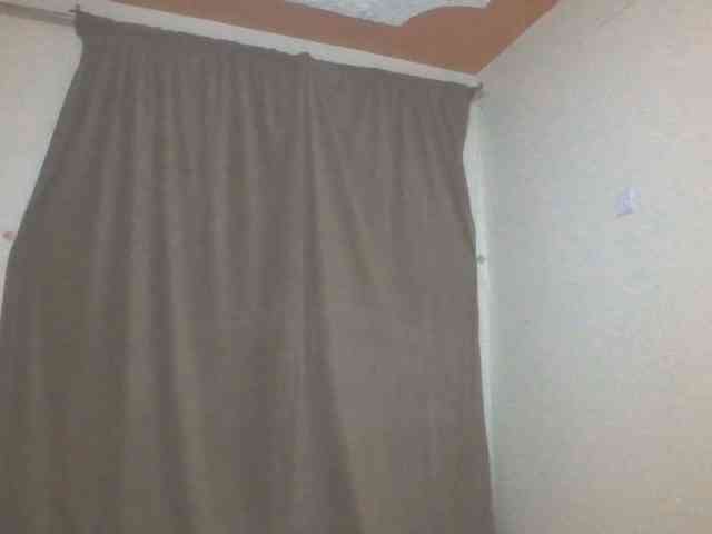 Dewebony webcam