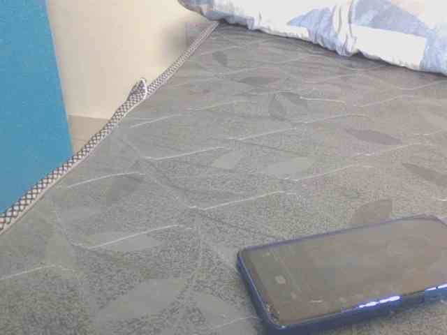 Dewebony webcam