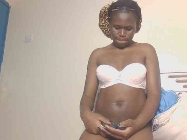 Dewebony webcam