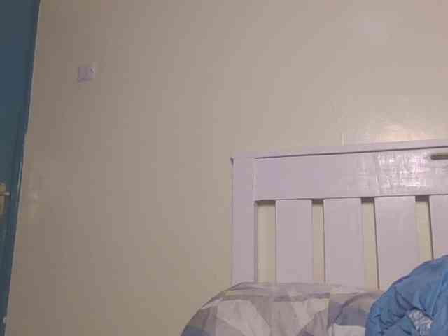 Dewebony webcam