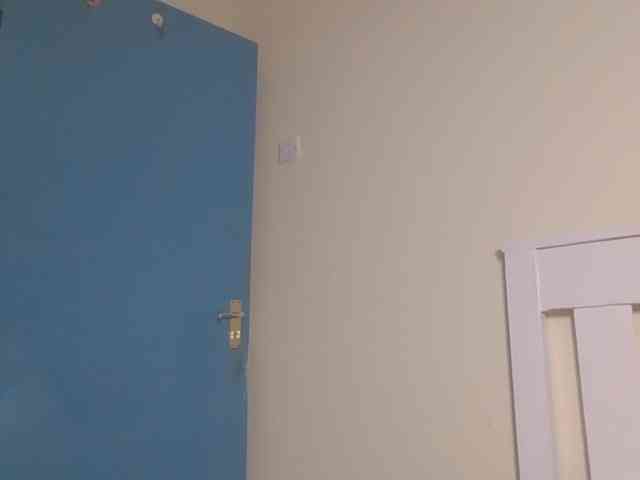 Dewebony webcam
