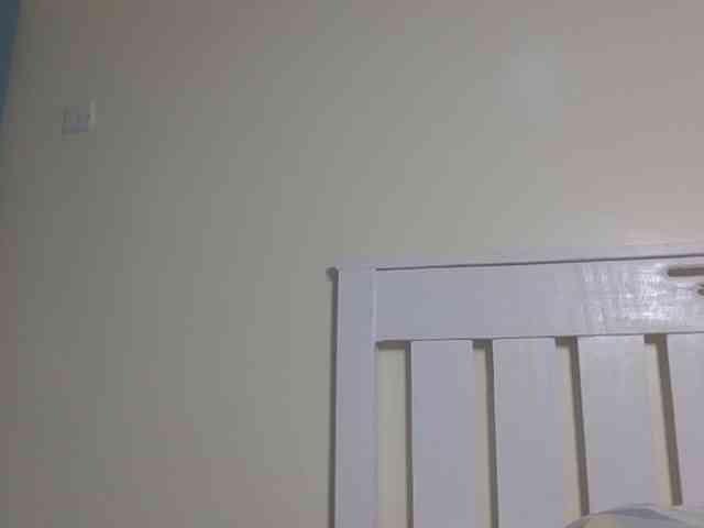 Dewebony webcam