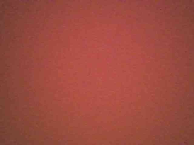 Dewebony webcam