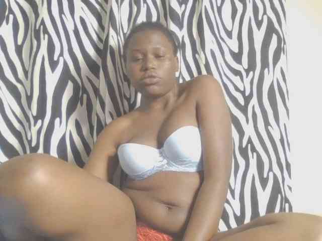 Dewebony webcam