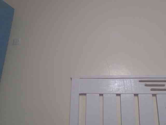 Dewebony webcam