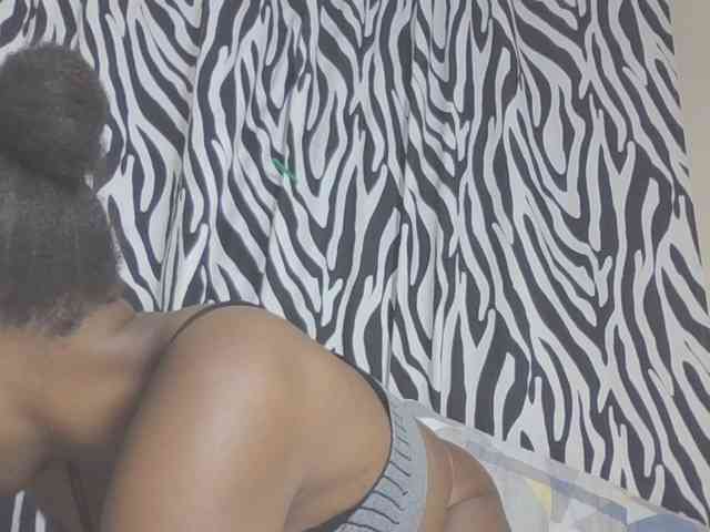 Dewebony webcam