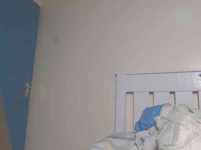 Dewebony webcam