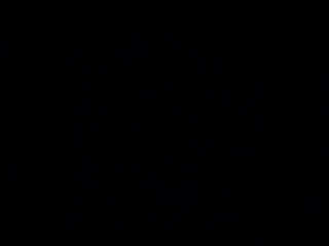 Meherin-Afra6