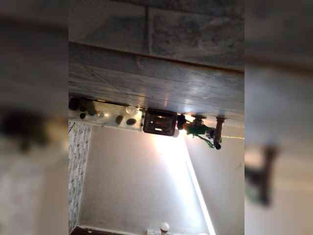 Meherin-Afra6 webcam