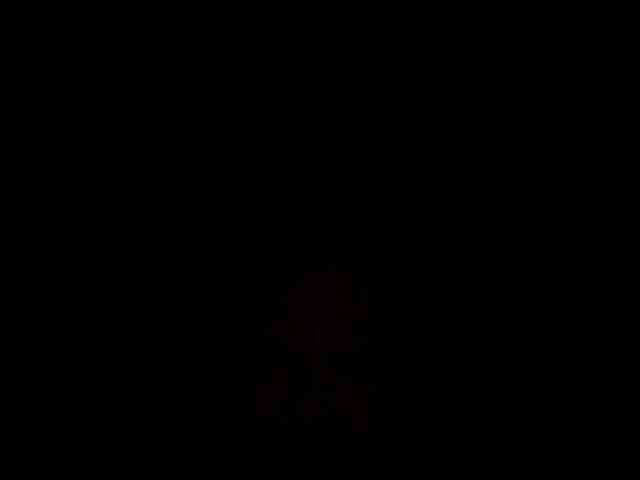 Meherin-Afra6
