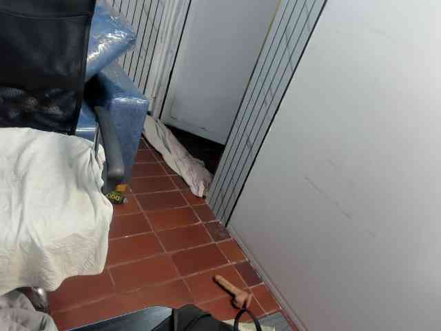 CelesteNaugthy webcam