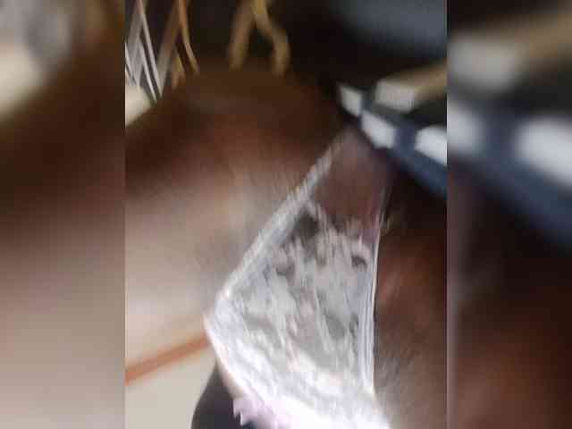 Afri webcam
