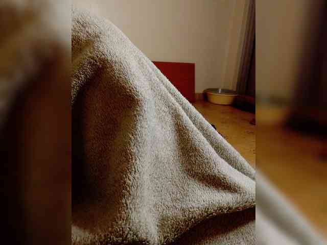 Afri webcam