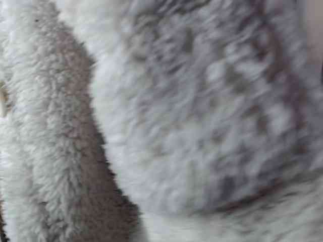TamikaAoki webcam