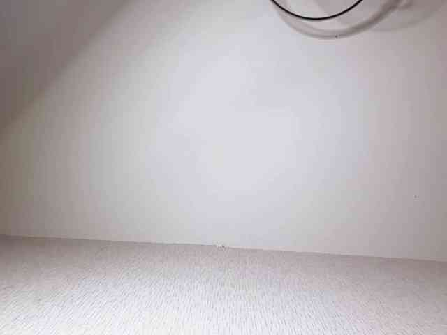 NaSiskiKoplyU webcam