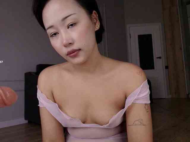 hangohoo webcam