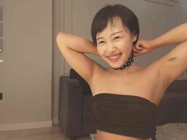 hangohoo webcam