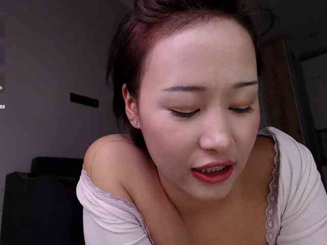 hangohoo webcam