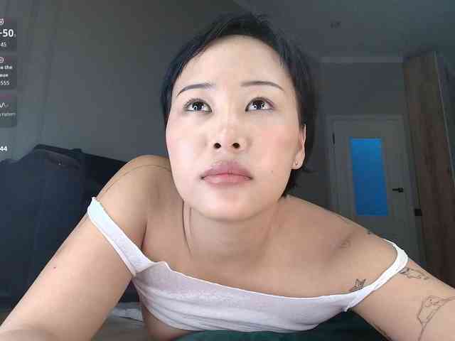 hangohoo webcam