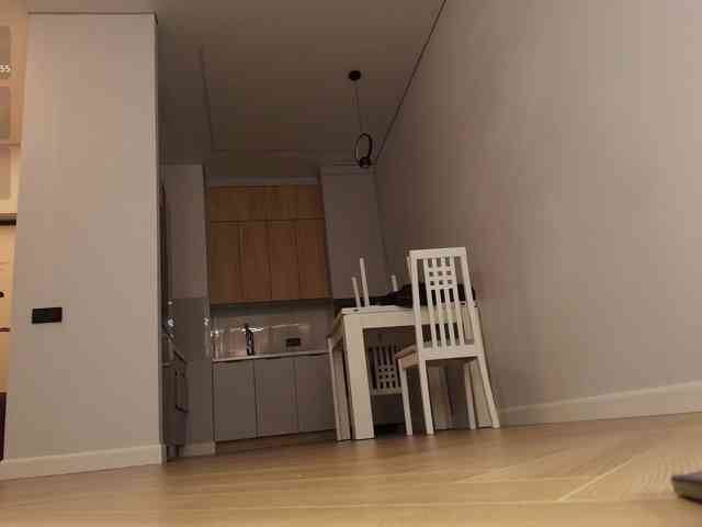 hangohoo webcam