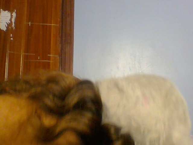Spiced-sweetness live cam on BongaCams