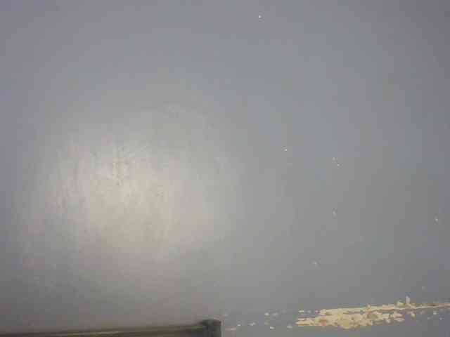 Spiced-sweetness webcam