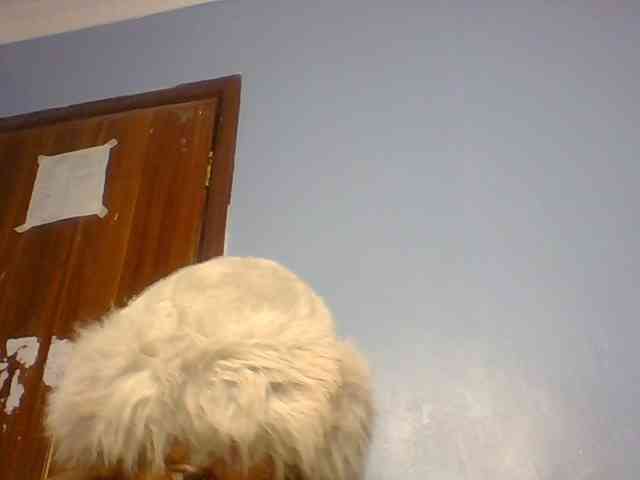 Spiced-sweetness webcam