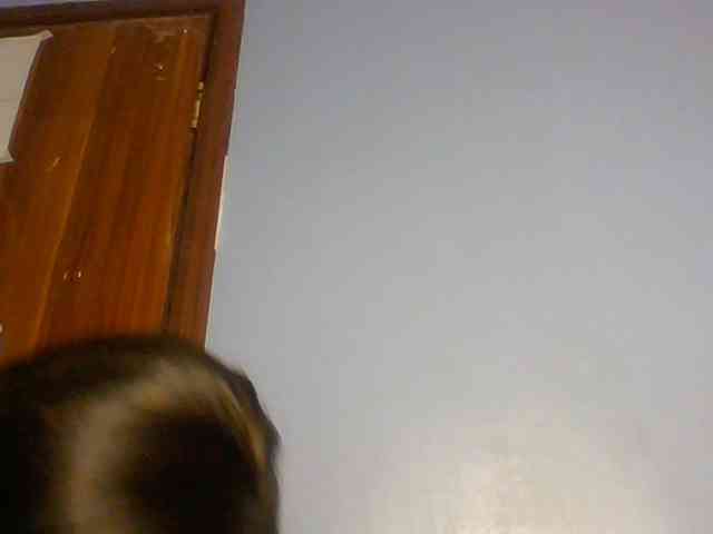 Spiced-sweetness webcam