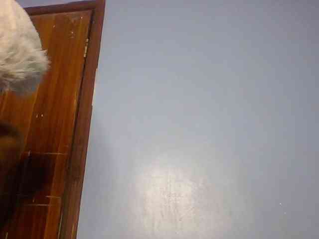 Spiced-sweetness webcam