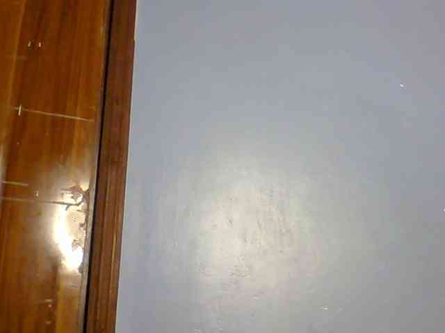 Spiced-sweetness webcam
