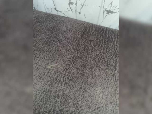 sofa555alex666
