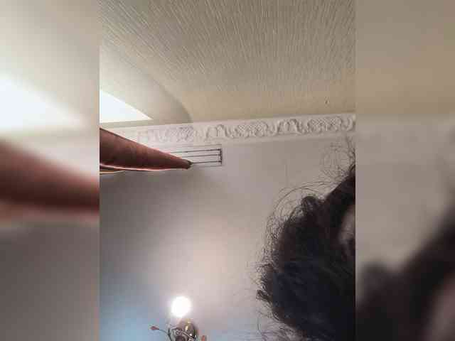 PlayfulAlice webcam