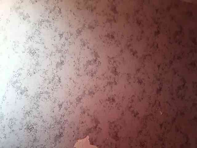 _Hot_ webcam