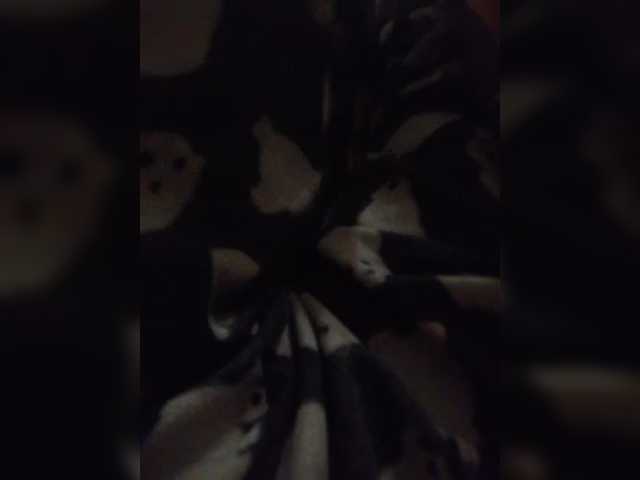 Preview of mraz7766
