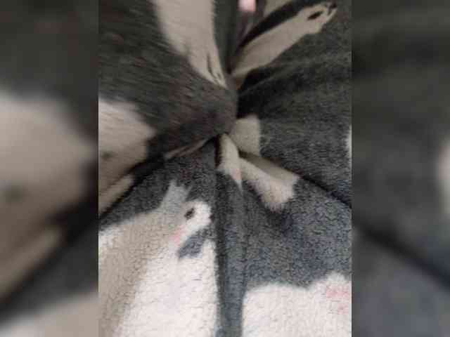 Mraz7766 webcam