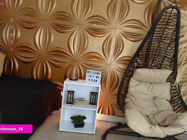 Anniemuse webcam